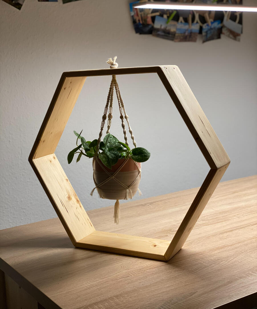 Sechseck aus Fichte mit Makramee Pflanze