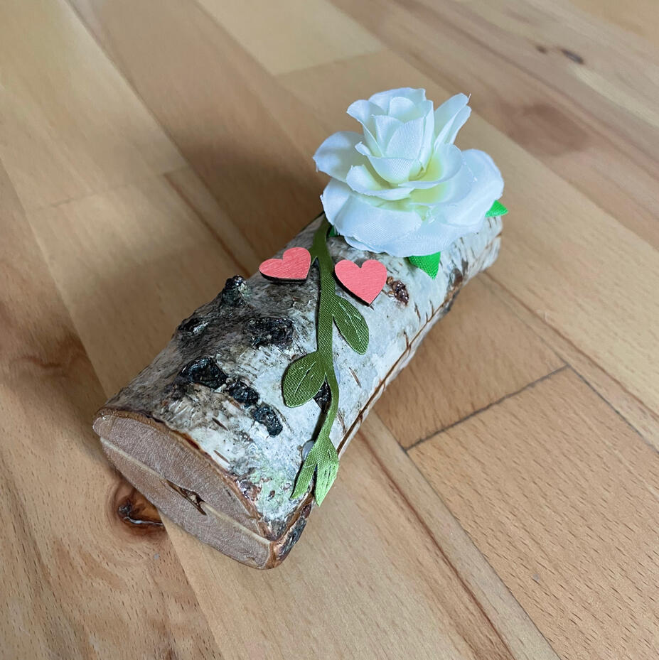 Rind Etui geschlossen